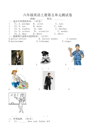 六年级上册第五单元测试卷(新版)