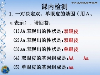 第三节人的性别决定