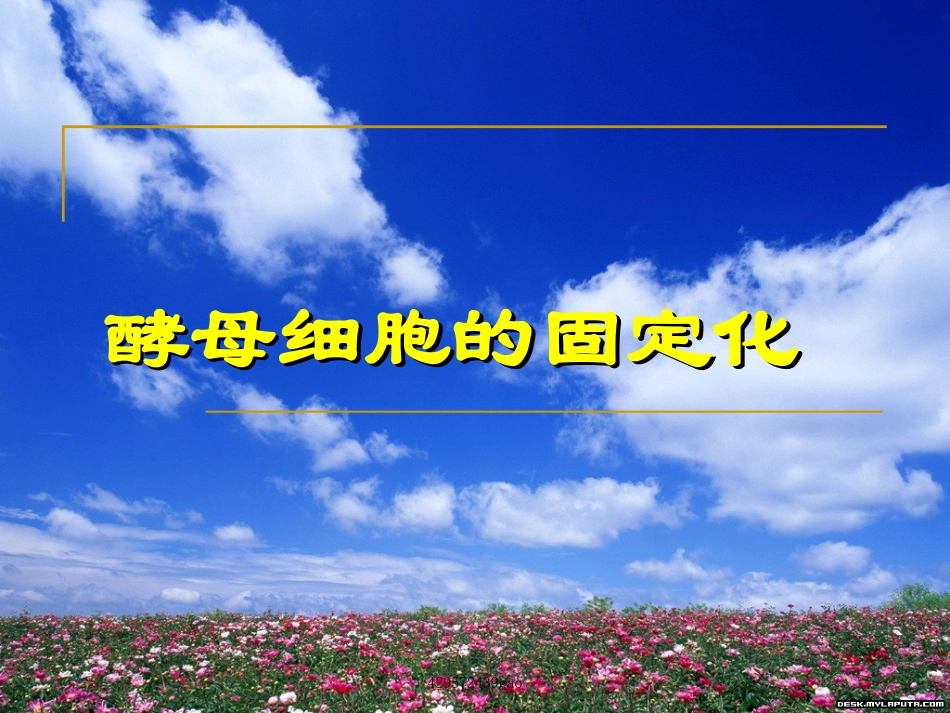 酵母细胞的固定化_第1页