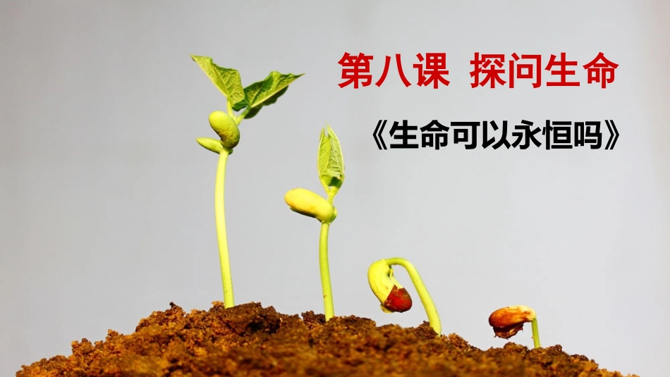 第七课生命之间_第2页