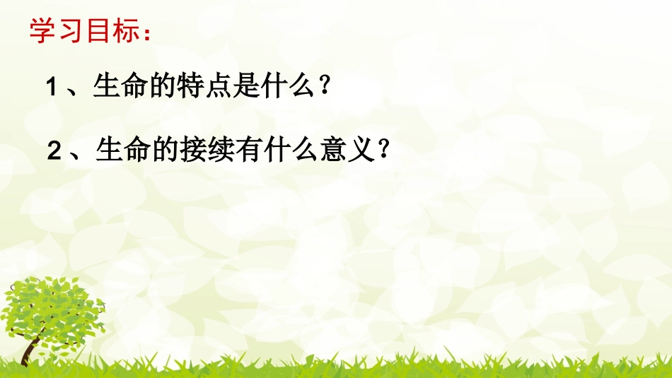 第七课生命之间_第3页