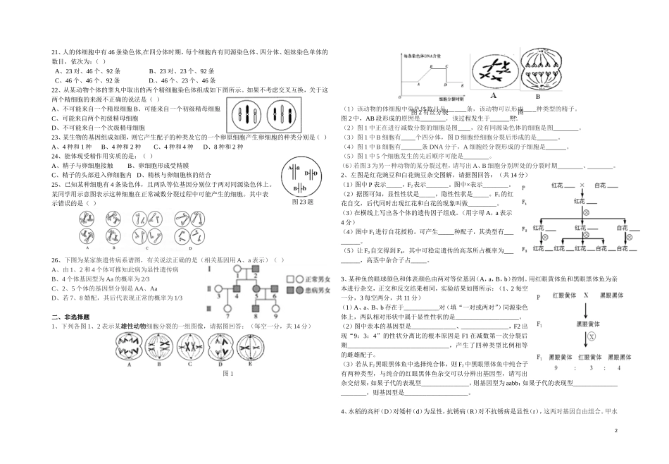 111遗传学减数分裂考试试题_第2页