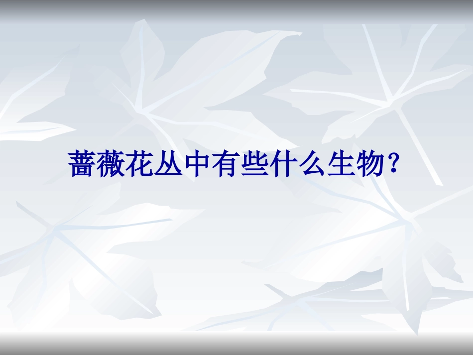 五年级科学上册第一单元食物链和食物网_第3页
