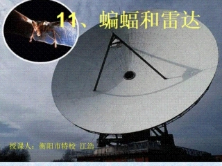11蝙蝠和雷达课件