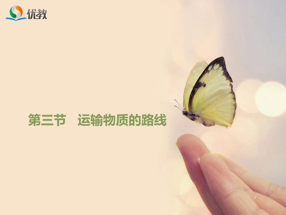 第三节物质运输的路线-(2)_第1页