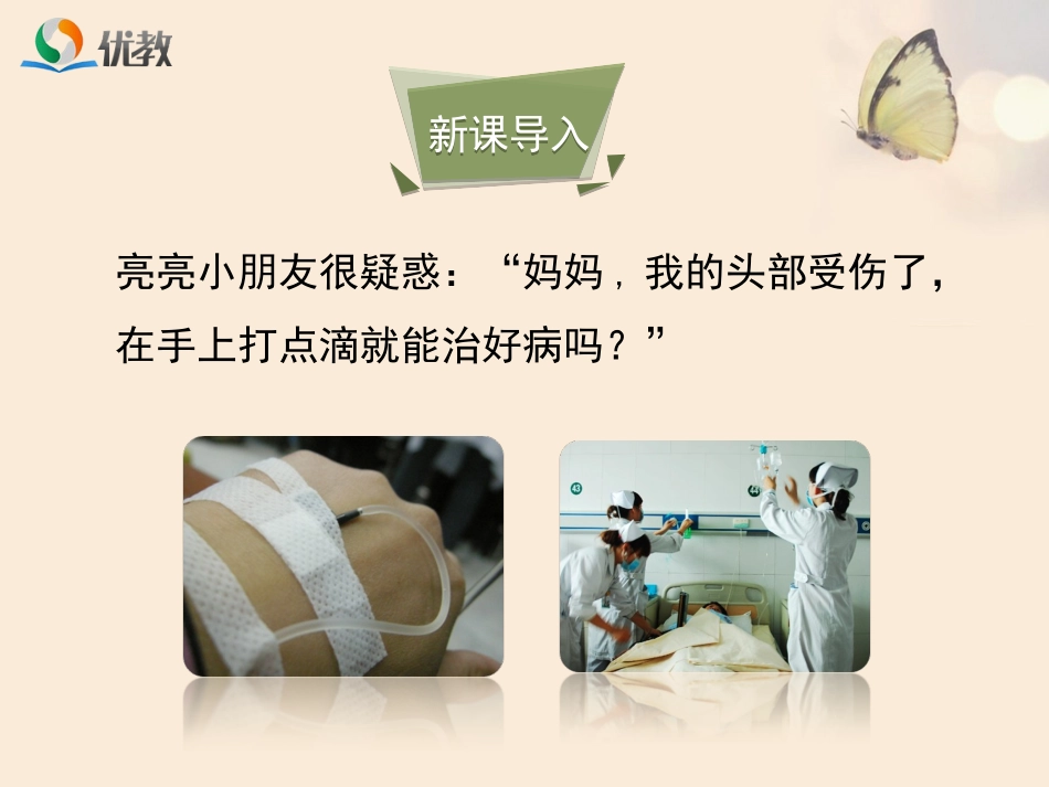 第三节物质运输的路线-(2)_第3页