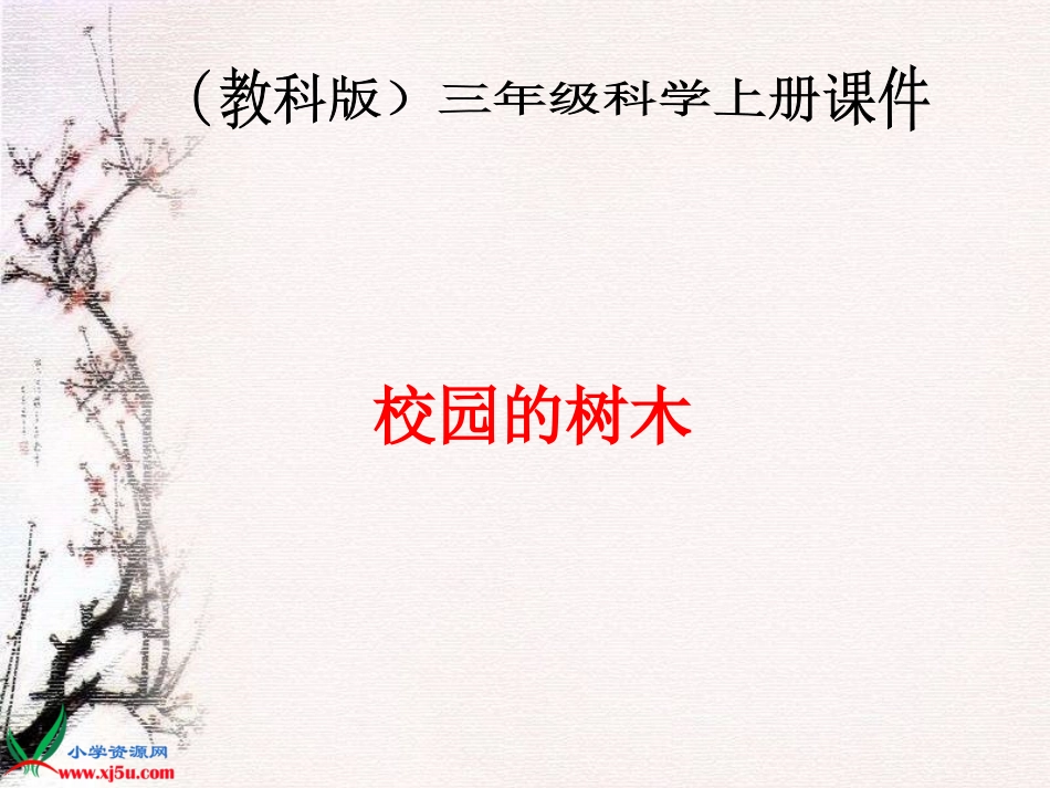 (教科版)三年级科学上册课件-校园的树木-2_第1页