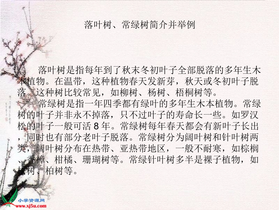 (教科版)三年级科学上册课件-校园的树木-2_第2页