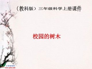 (教科版)三年级科学上册课件-校园的树木-2