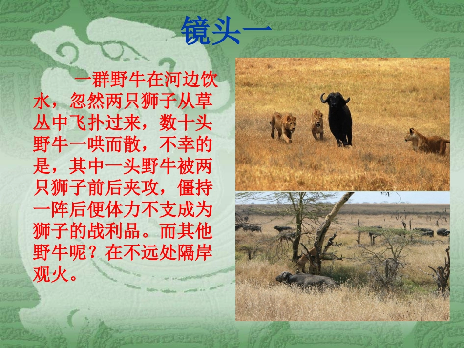 《第二课-我与我们》课件_第3页