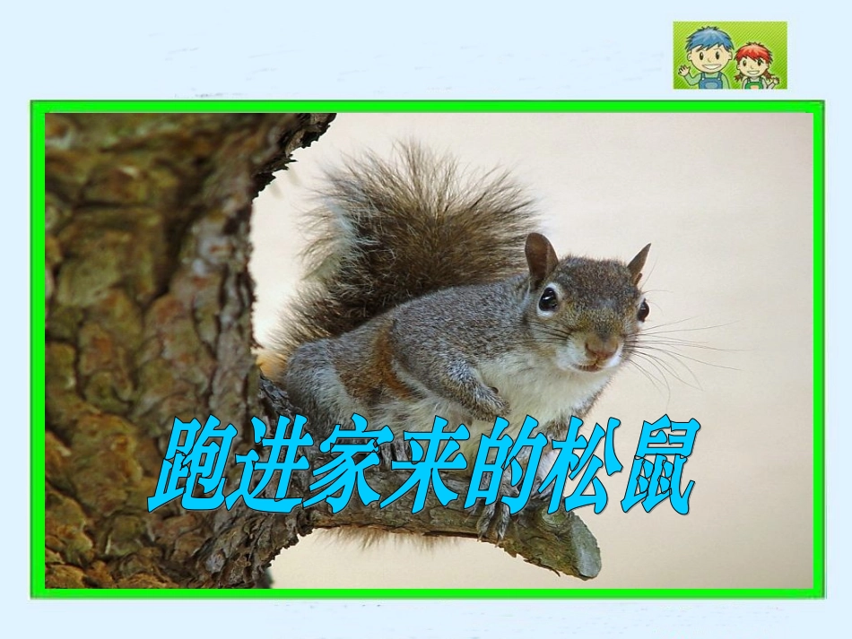 《跑进家来的松鼠》PPT课件_第1页