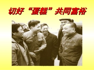 4-2切好“蛋糕”共同富裕