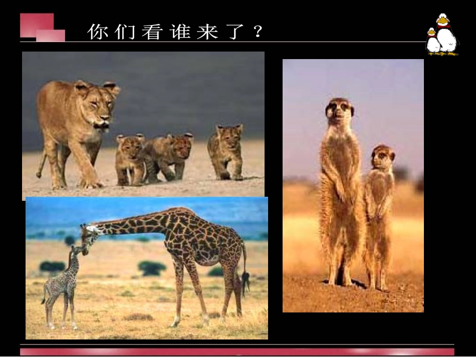 第12课母与子_第1页