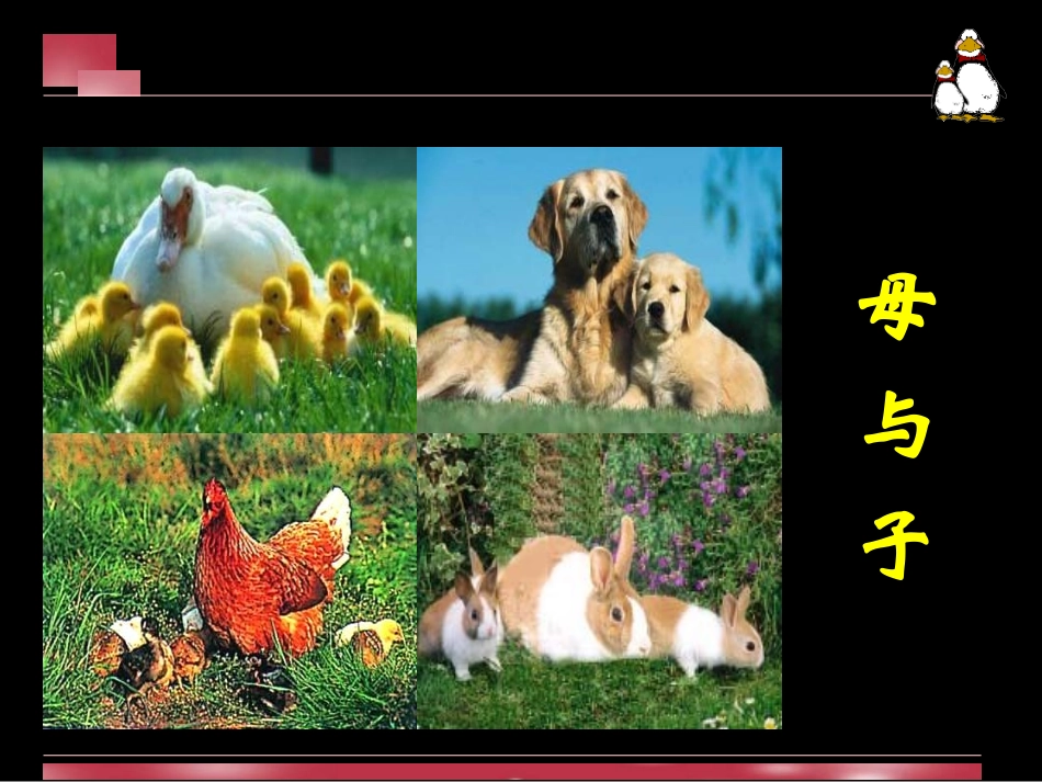 第12课母与子_第2页