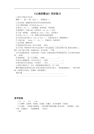 (2017年春季版)《云南的歌会》同步练习
