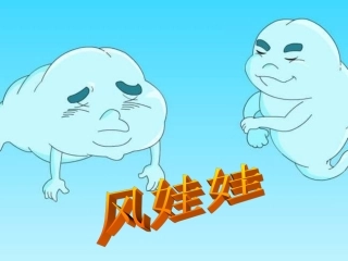 6516《风娃娃》PPT课件