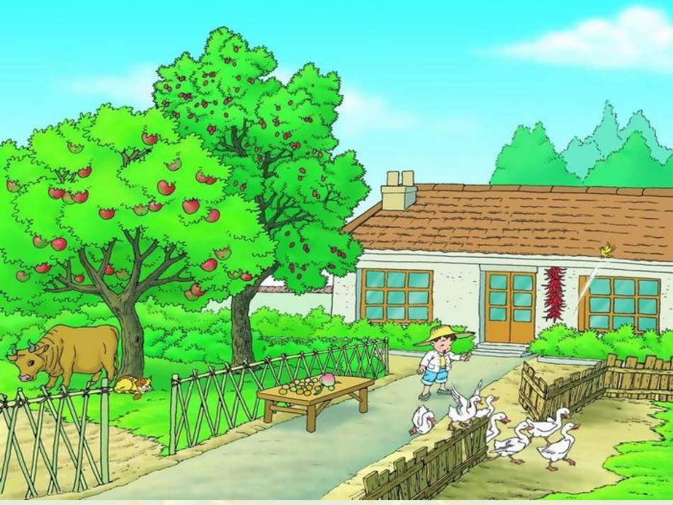 4.1比一比1_第1页