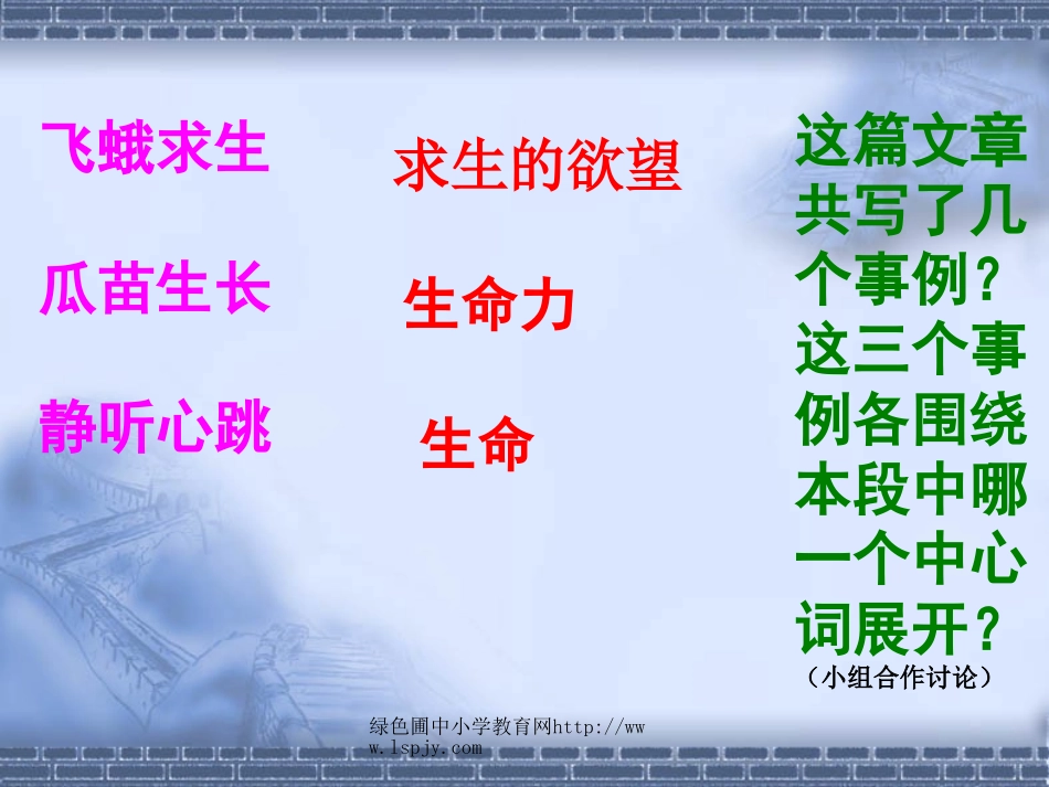 生命生命教学PPT课件_第3页