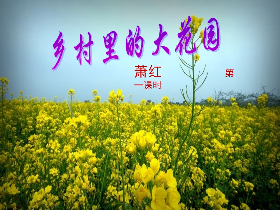 乡村里的大花园23_第1页