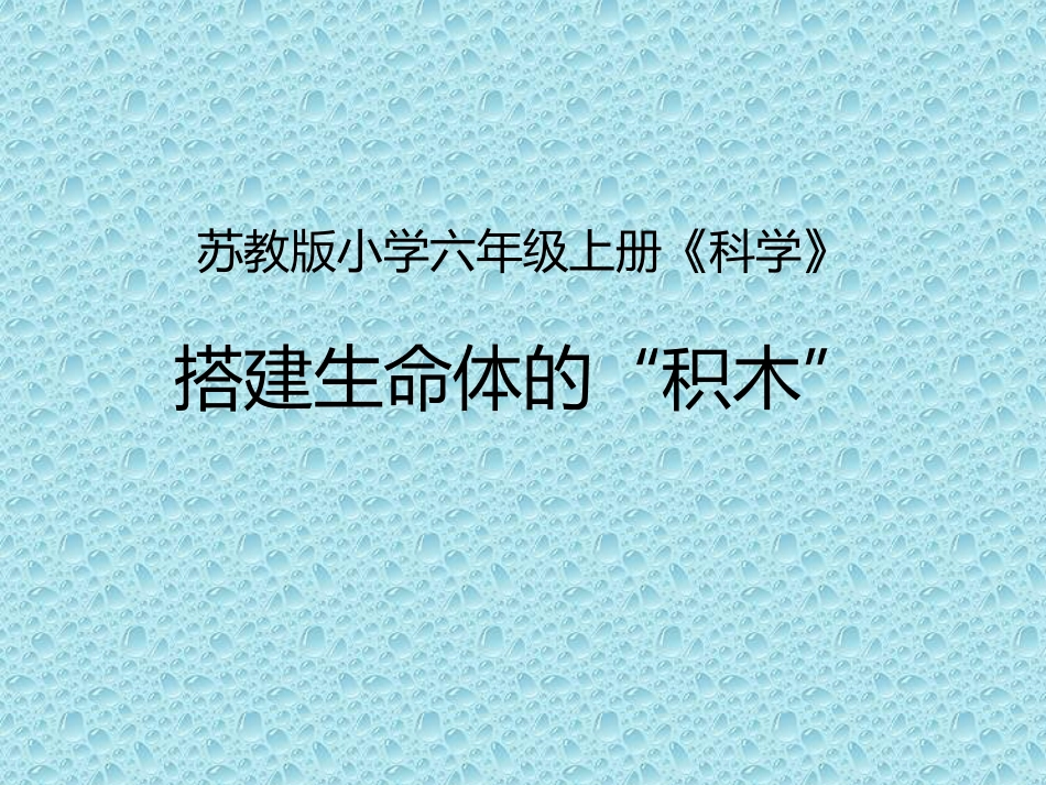 4搭建生命体的“积木”_第1页
