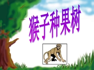 猴子种果树ppt