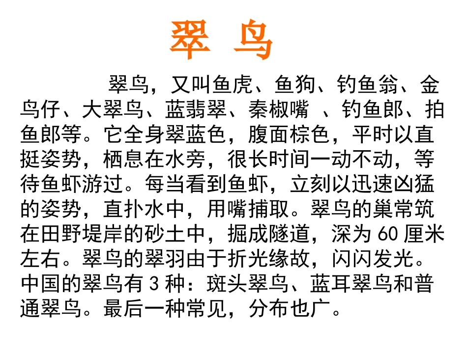 05《翠鸟》上课课件_第2页