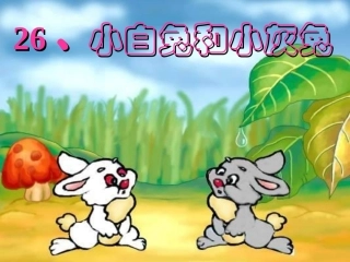 26-小白兔和小灰兔ppt