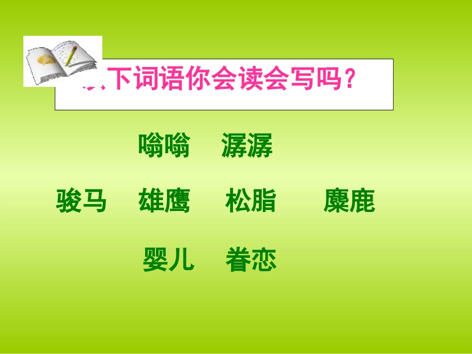 15.《这片土地是神圣的》_第3页