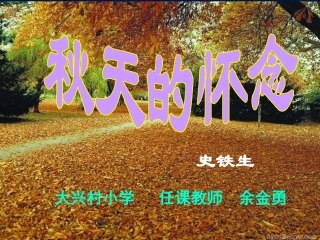 秋天的怀念PPT