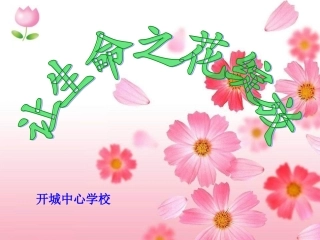 人教版七上第三课第三框让生命之花绽放(共33张PPT)