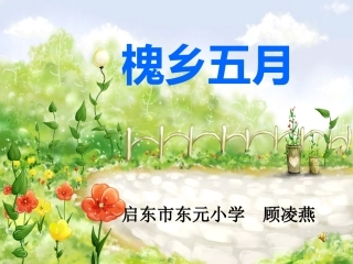 槐乡五月课件