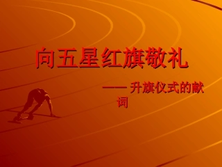 向五星红旗敬礼