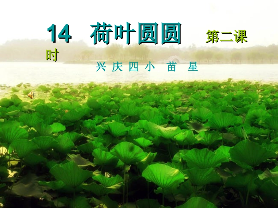 14荷叶圆圆-(2)_第1页