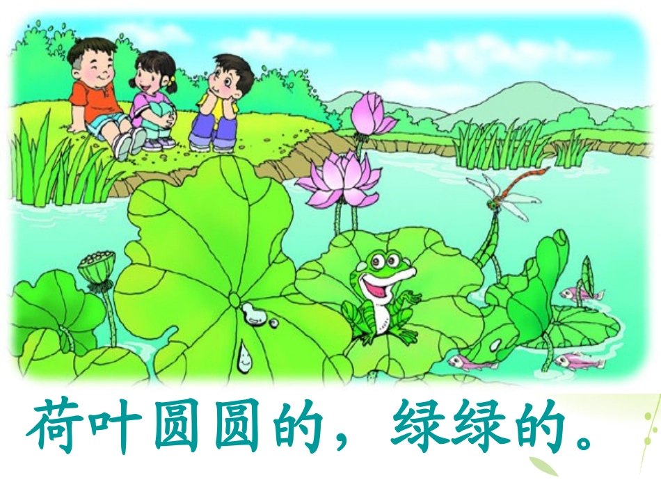 14荷叶圆圆-(2)_第2页