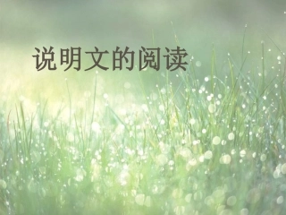 说明文阅读复习