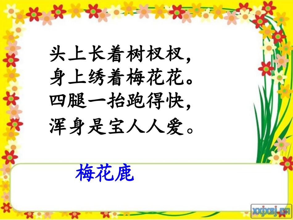 翠鸟课件-(2)_第2页
