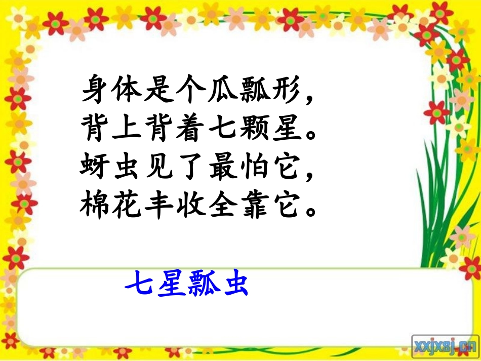翠鸟课件-(2)_第3页