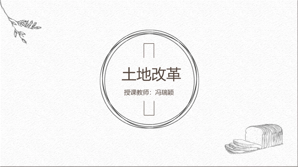 第3课土地改革_第2页