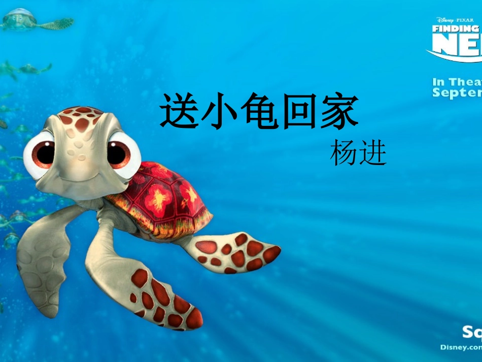 13、送小乌龟回家_第1页