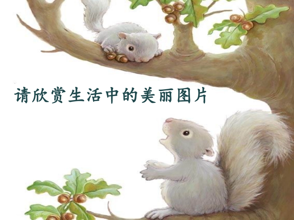 小学数学人教2011课标版二年级轴对称图形课件-(2)_第2页