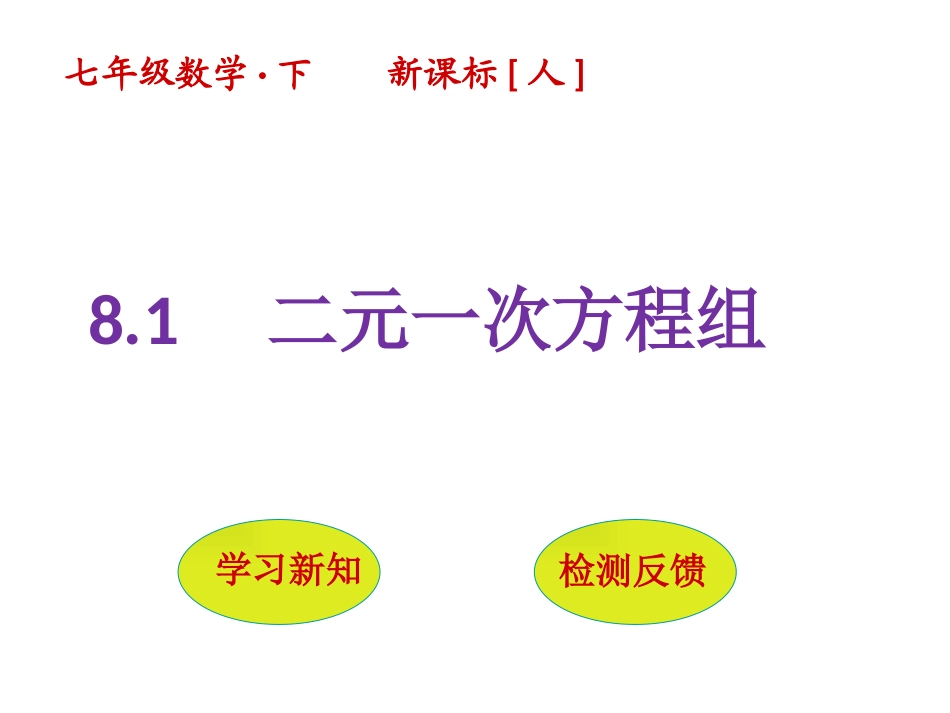二元一次方程组.1-二元一次方程组_第1页