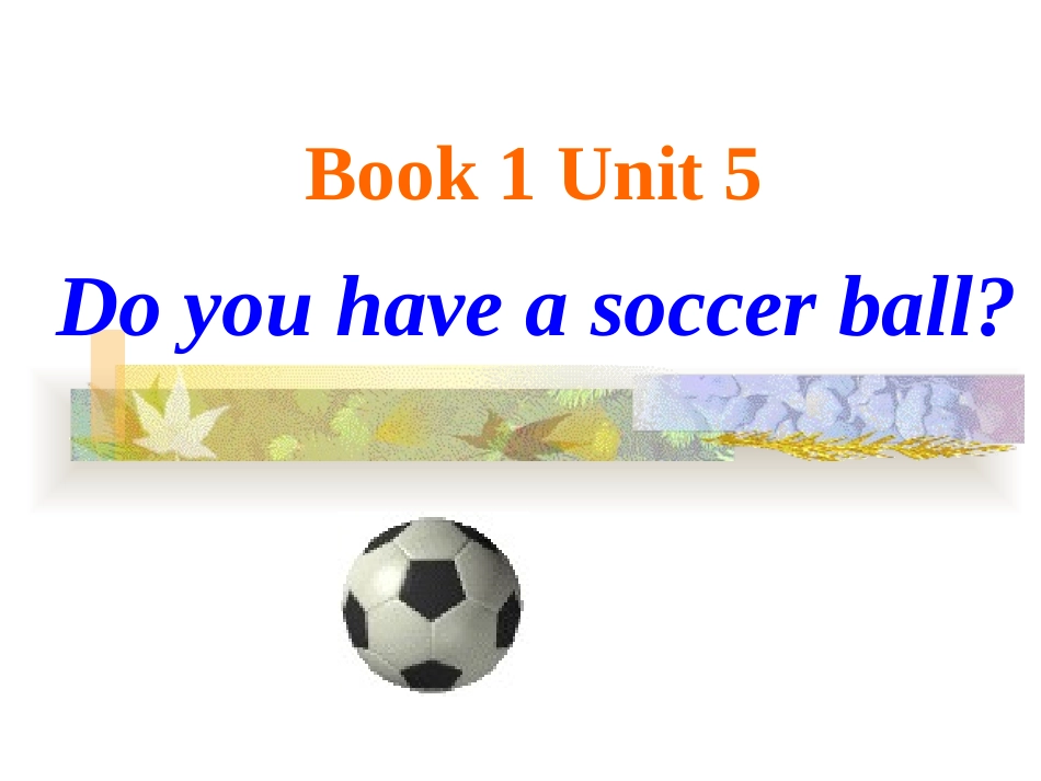 unit5Doyouhaveasoccerball？_第1页