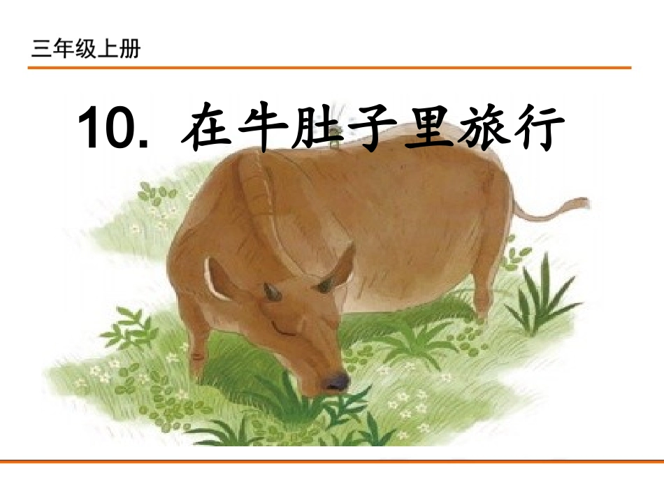 10在牛肚子里旅行-(3)_第1页