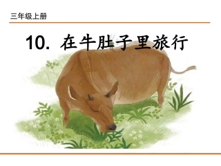 10在牛肚子里旅行-(3)