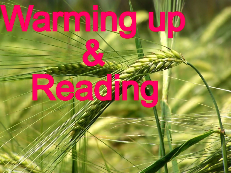 Book4Unit2Reading_第3页