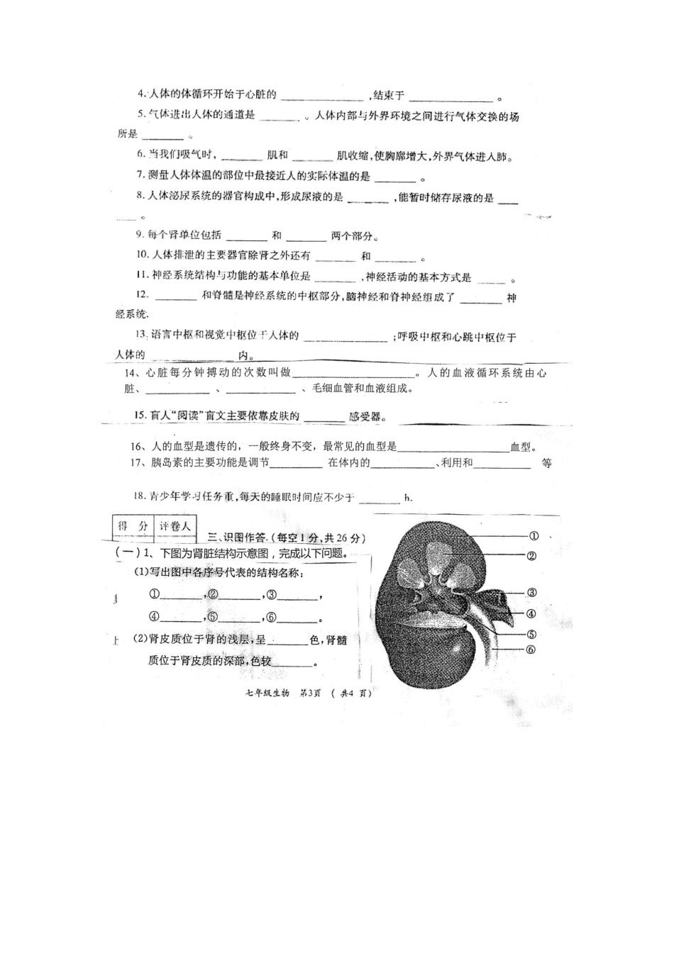 孟津育才学校2014-2015年七年级生物下册第二次月考试题及答案_第3页