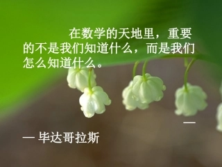 《平行四边形的判定》