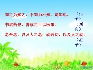 杨氏之子(彭爱芬)