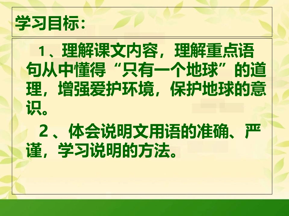 13《只有一个地球》第二课时_第2页