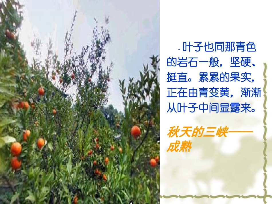 《三峡之秋》教学课件二_第3页